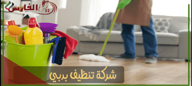 شركة تنظيف دبي