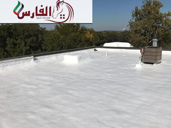 شركة عزل اسطح في ابوظبي